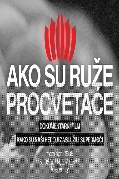 Ako su ruže, procvetaće