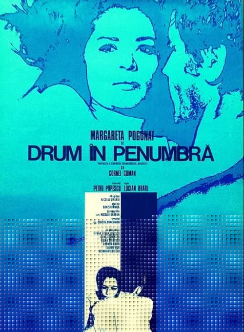 Drum în penumbră