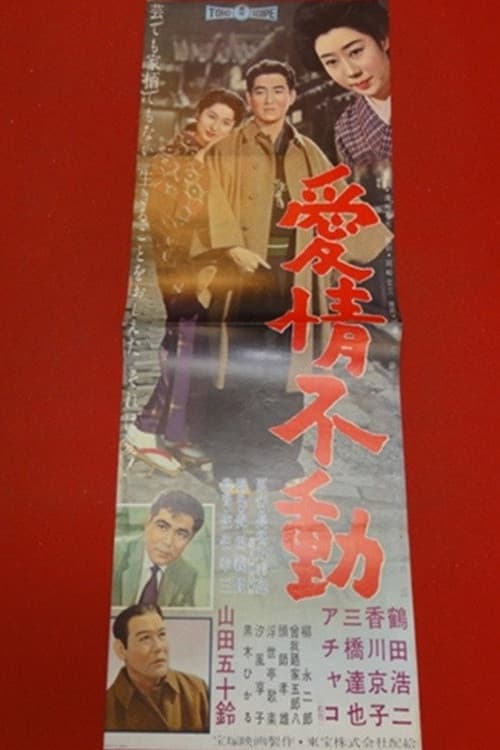 愛情不動