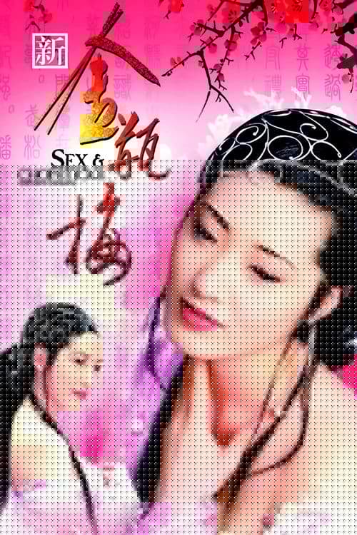 新金瓶梅