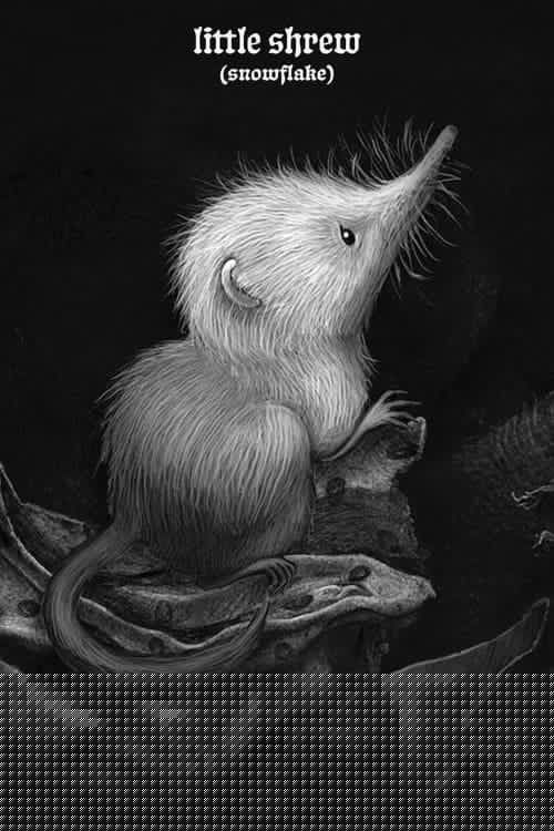 Little Shrew (Snowflake)