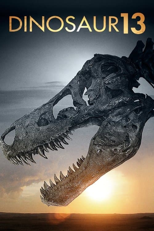 Sue, dinosaure n°13