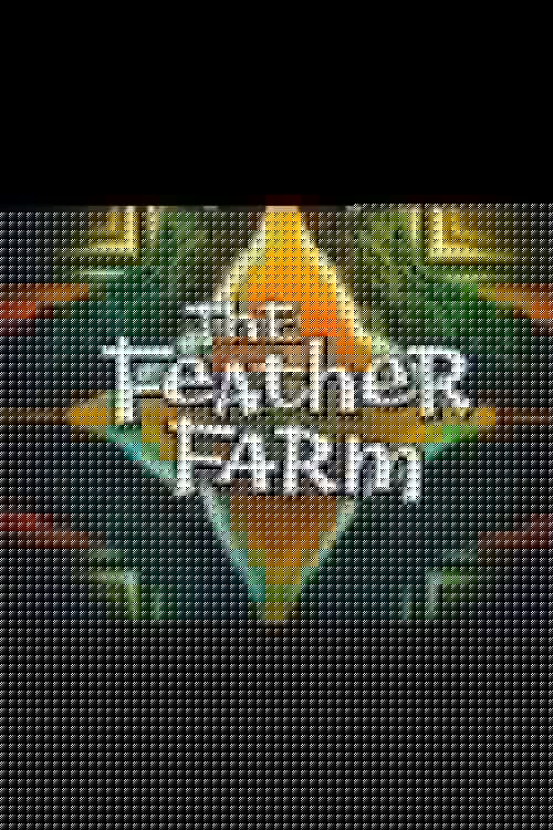 The Feather Farm