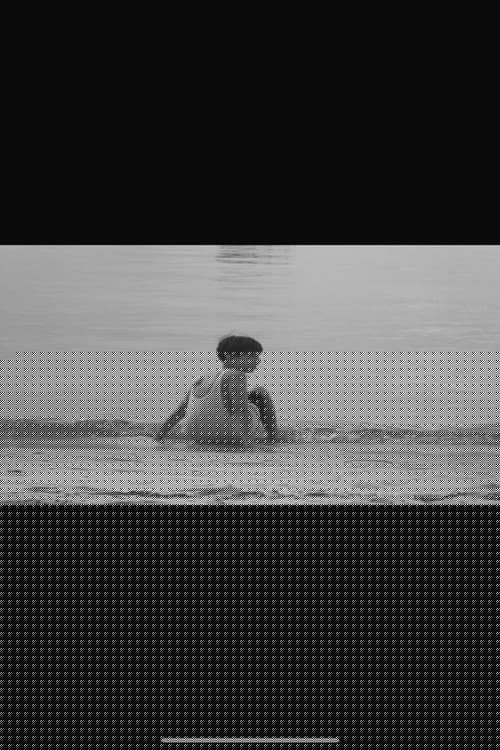 O velho e o mar