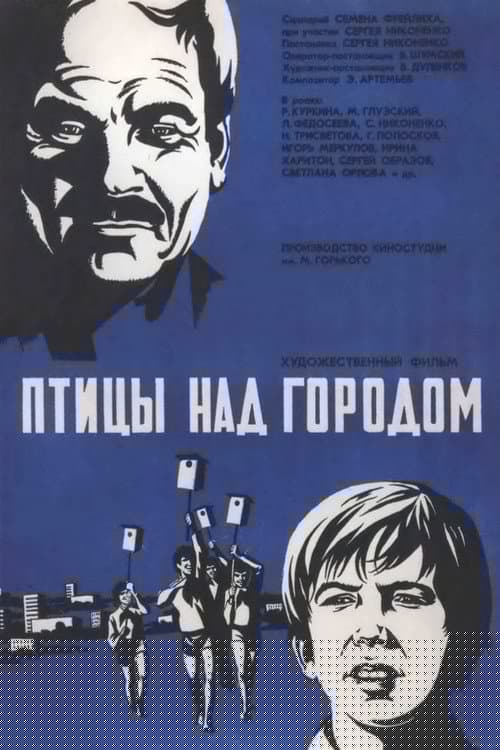 Птицы над городом