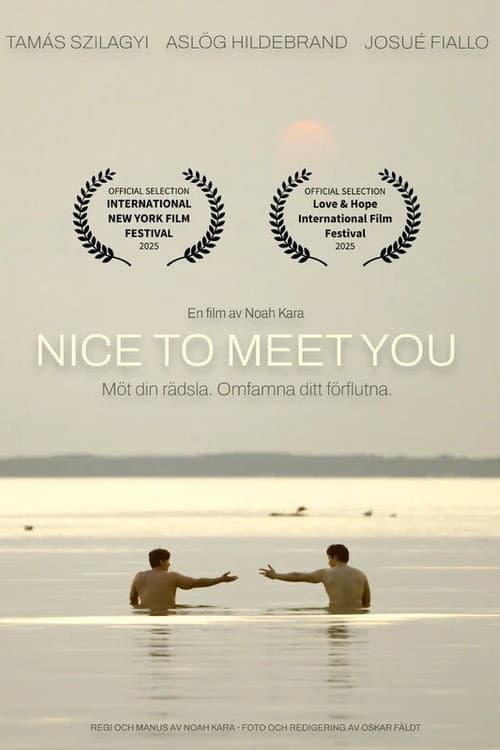 Nice to Meet You