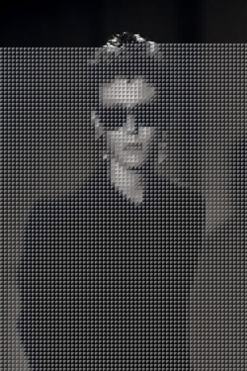 David J