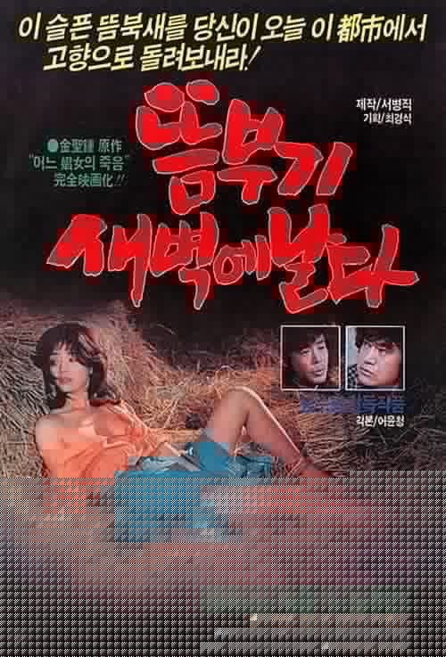 뜸부기 새벽에 날다