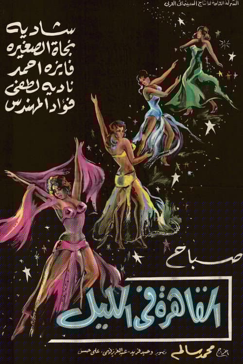 القاهرة في الليل