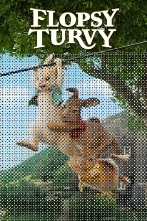 Flopsy Turvy
