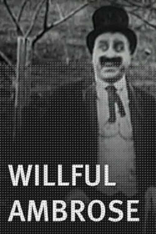 Willful Ambrose