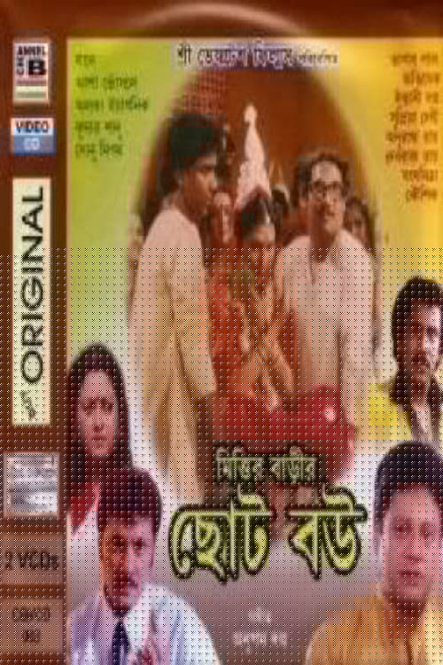 মিত্তির বাড়ীর ছোট বউ
