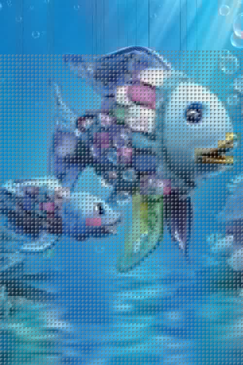 Der Regenbogenfisch
