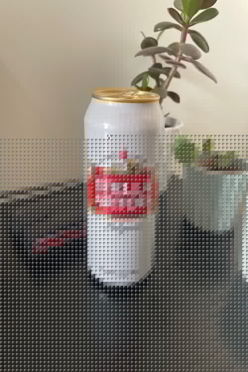 Stella Artois
