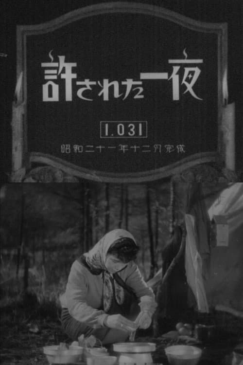 許された一夜