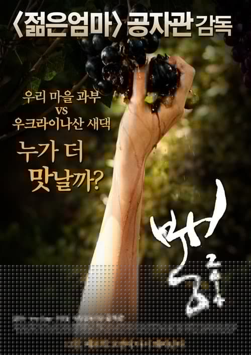 뽕