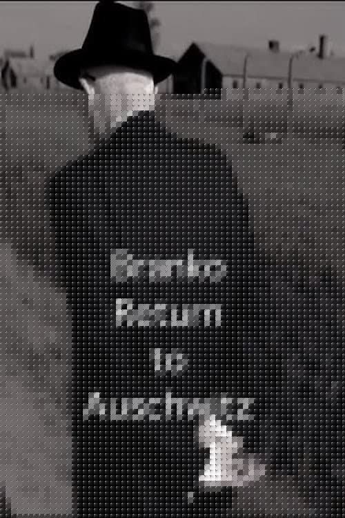 Branko: Return to Auschwitz