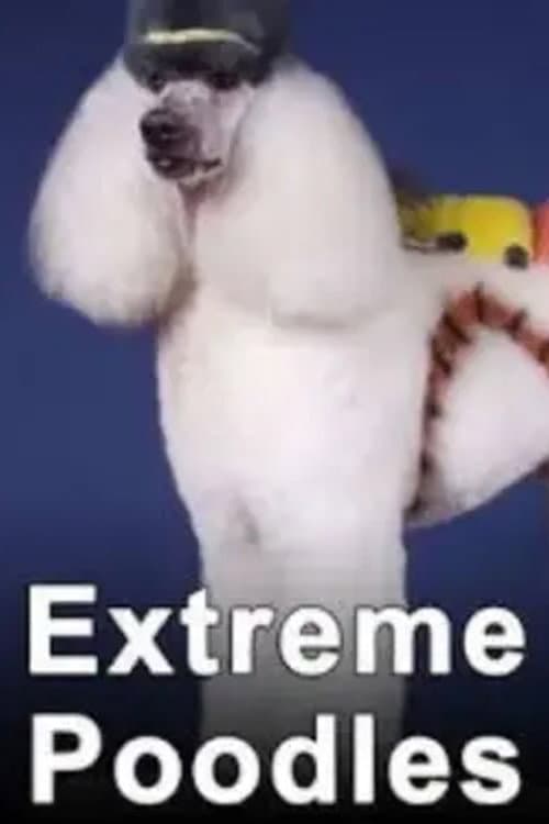 Extreme Poodles
