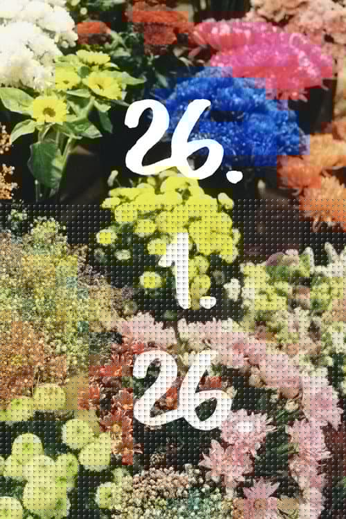 26.1.26