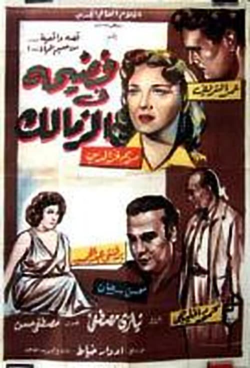فضيحة في الزمالك