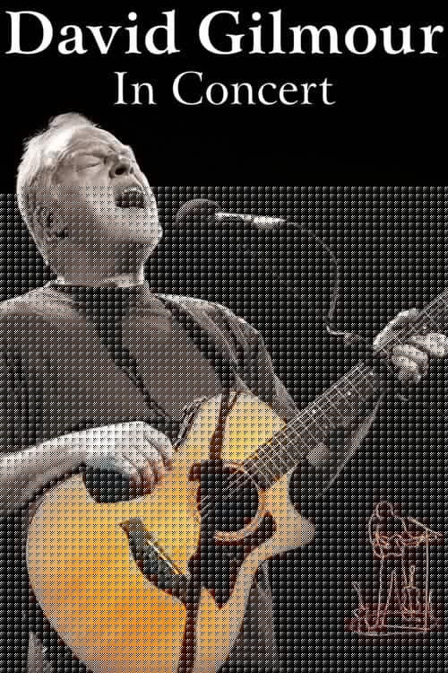David Gilmour: In Concert