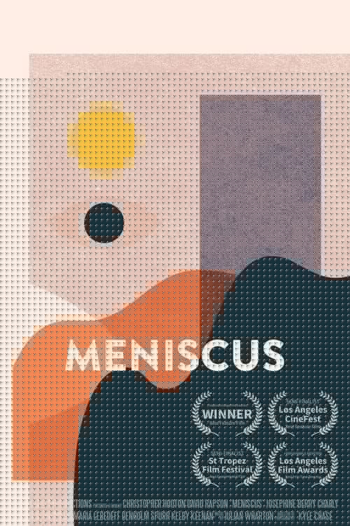 Meniscus