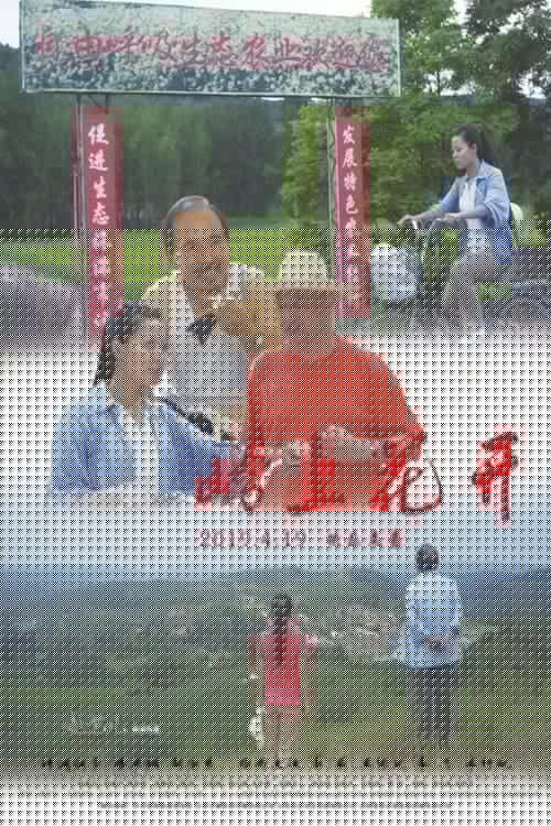 岭上花开