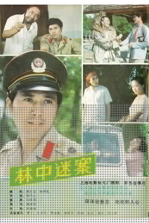 林中迷案