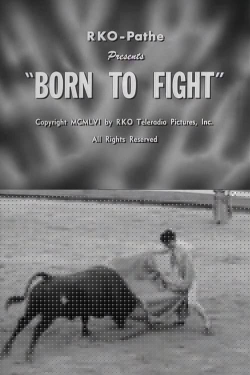 Born to Fight