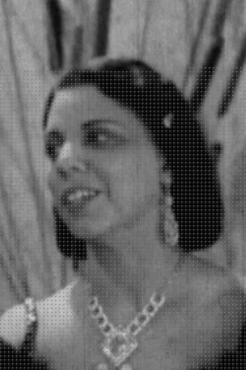 Gladys Williams