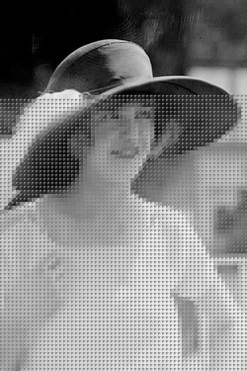 Geneviève Félix