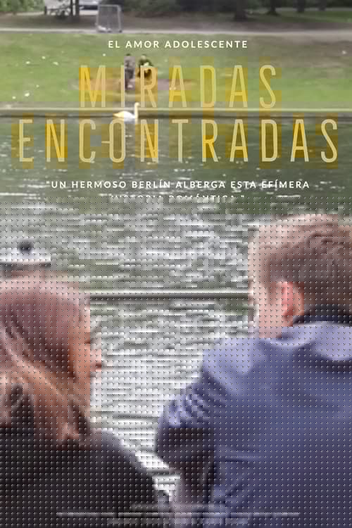 Miradas Encontradas