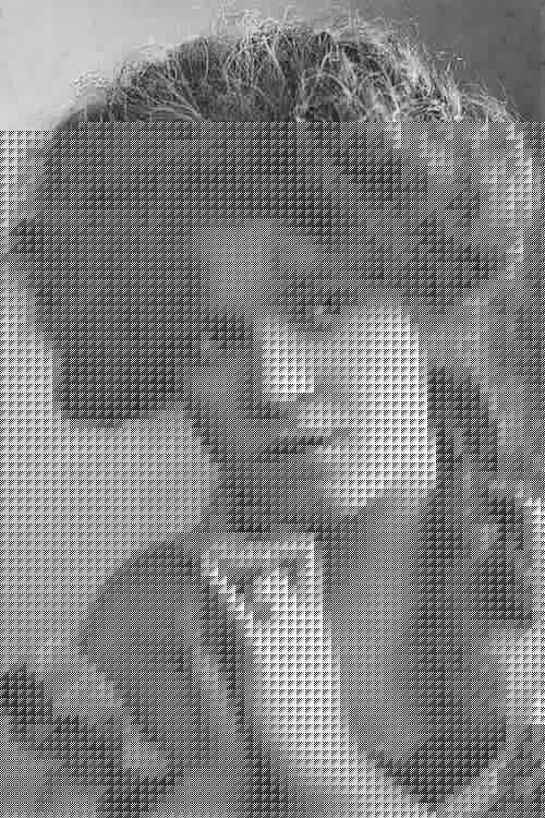 Helen Wright