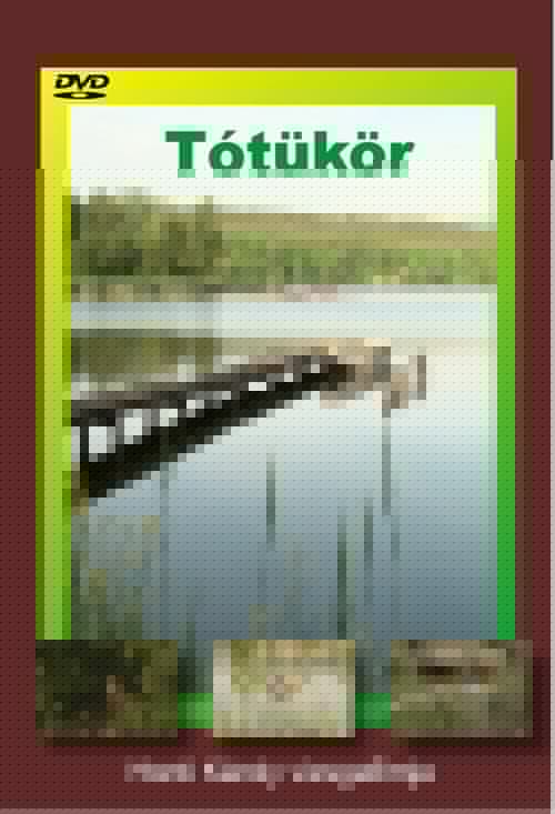 Tótükör