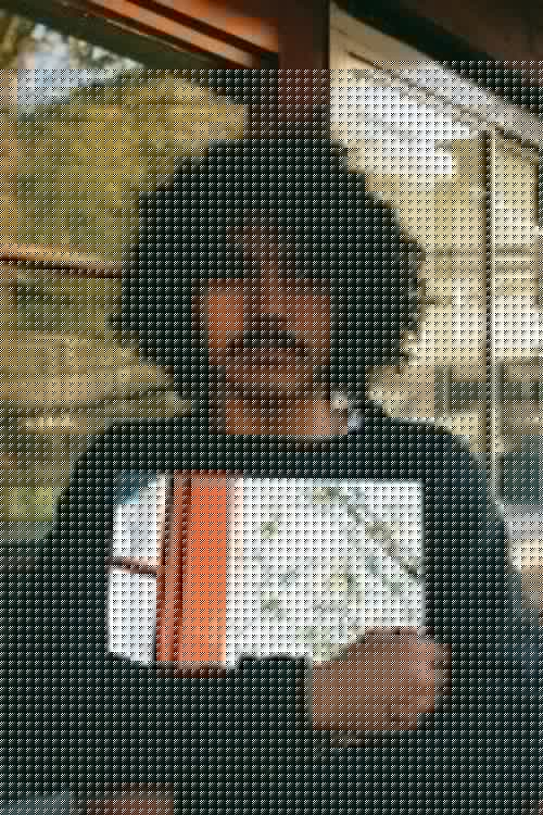 Anthony Vicente-Pereira