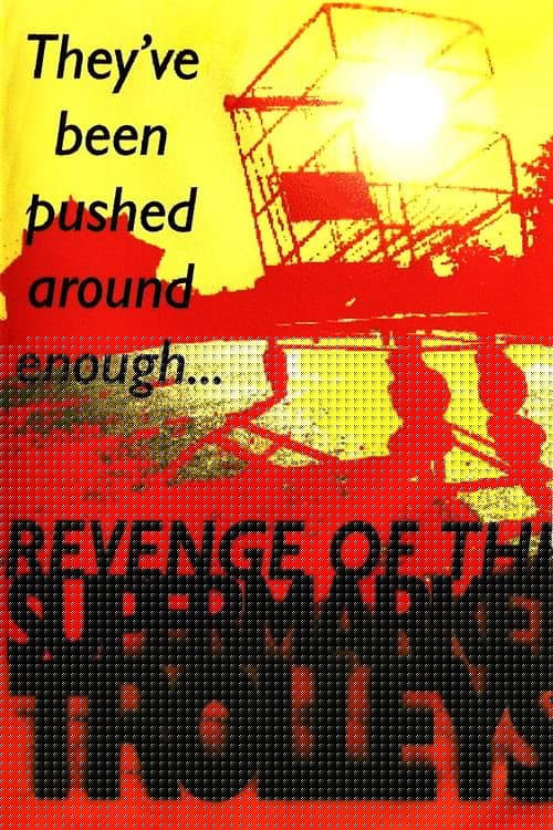Revenge of the Supermarket Trolleys
