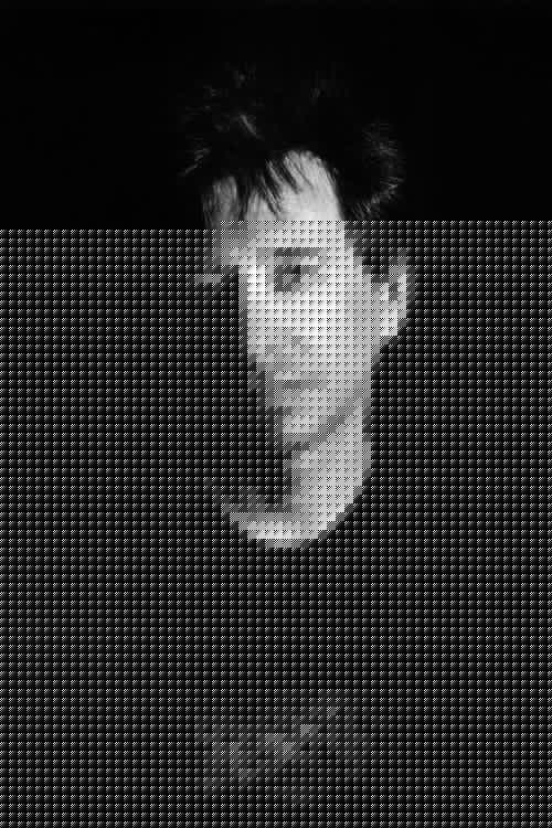 John Zorn