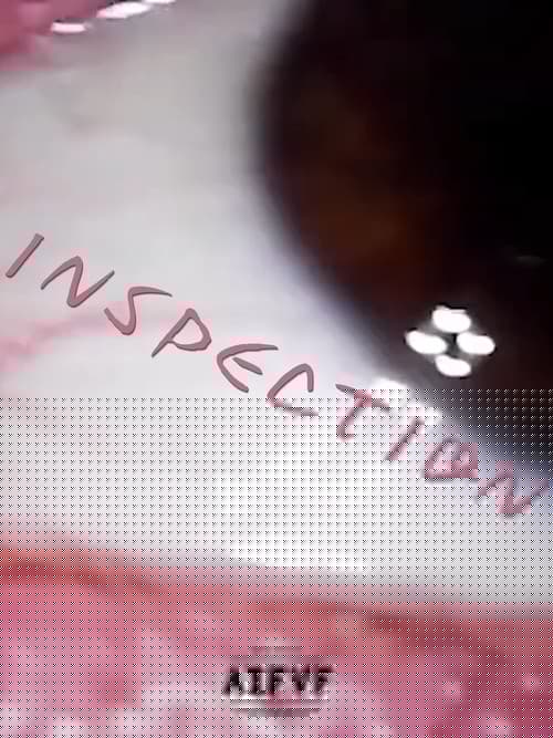 INSPECTION