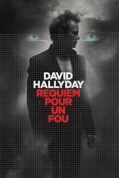 David Hallyday, requiem pour un fou