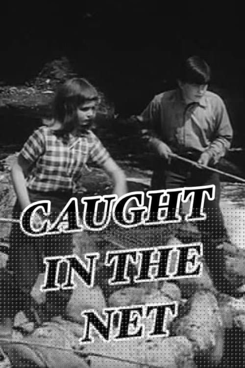 Caught in the Net