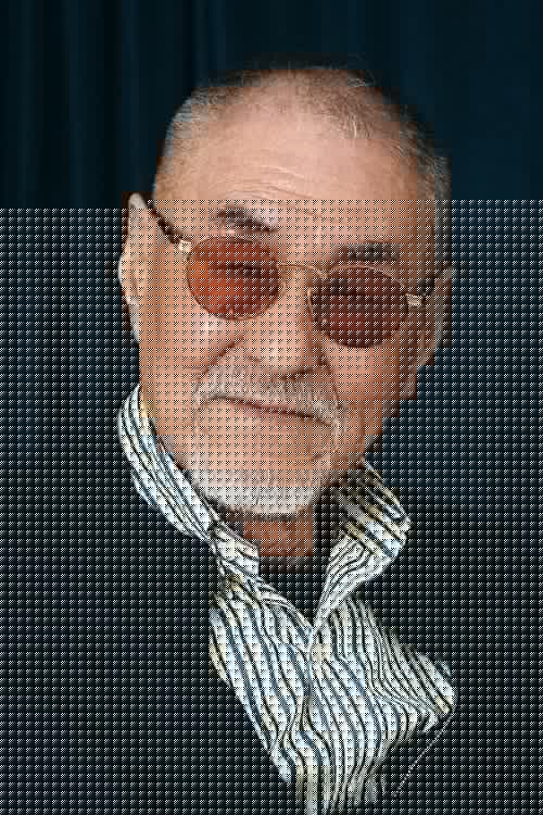 정일성