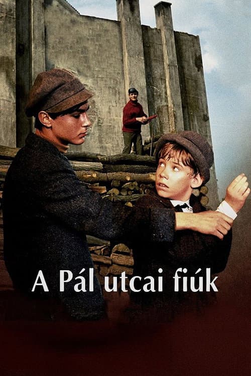 Les garçons de la rue Paul