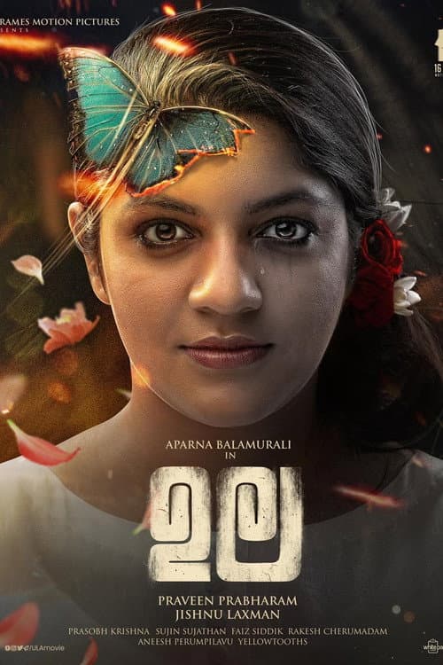 ഉല