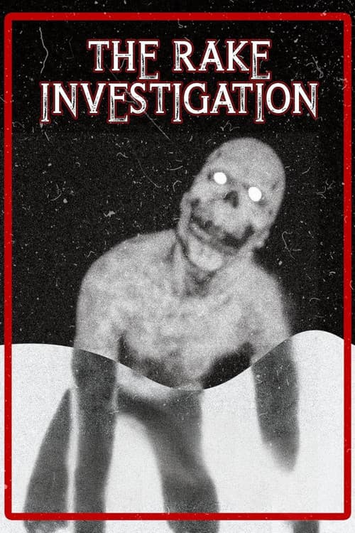The Rake Investigation