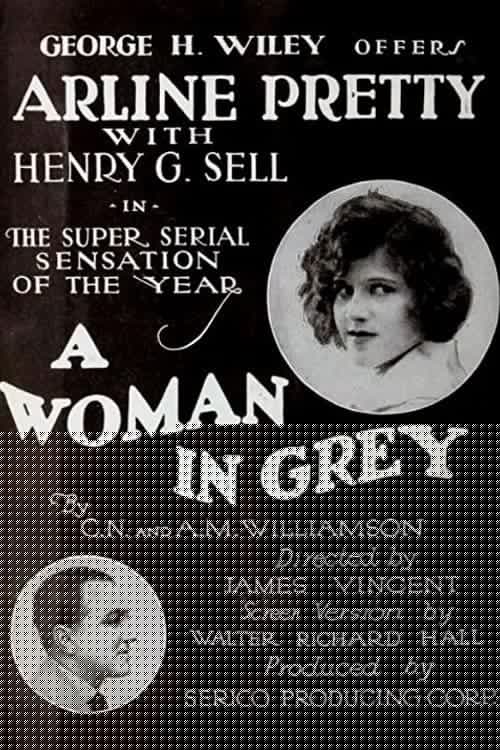 A Woman in Grey