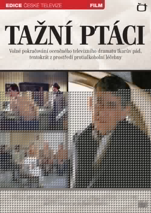 Tažní ptáci