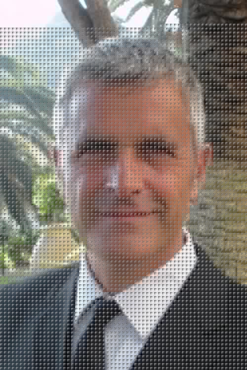Enrico Lucci