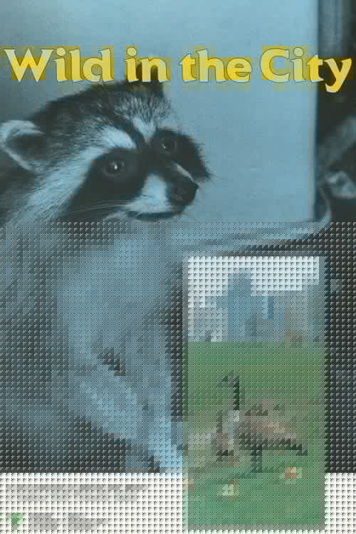 Wild in the City
