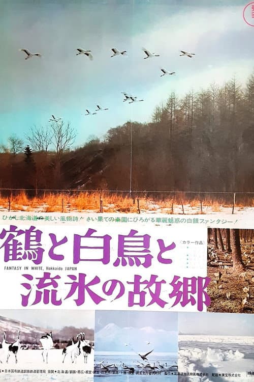 鶴と白鳥と流氷の故郷
