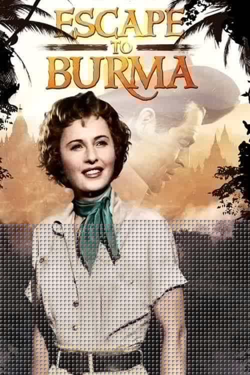 Les rubis du prince birman